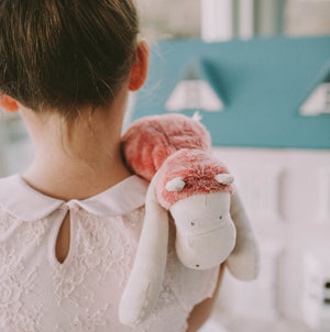 Pink Hippopotamus Soft Toy in Gift Box