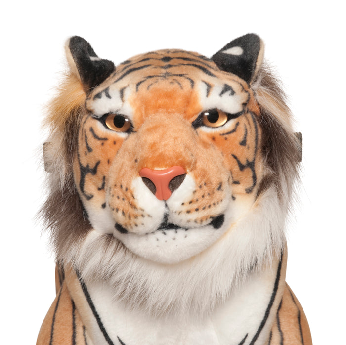 Ride on Tiger
